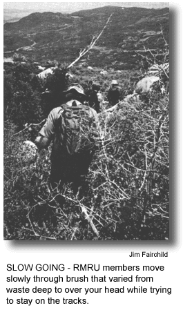 SLOW GOING - RMRU members move slowly through brush that varied from waste deep to over your head while trying to stay on the tracks. (photo by Jim Fairchild)