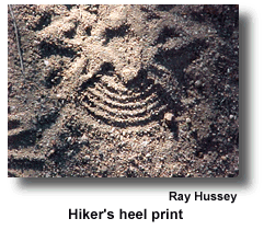 Hiker's heel print (photo by Ray Hussey)