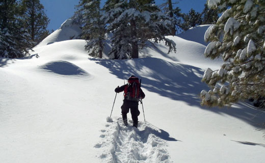 Rob May (RMRU) breaking trail