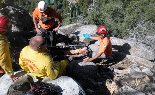Subjects and Rescuers