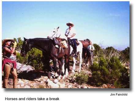 Horses and riders take a break (photo by Jim Fairchild)