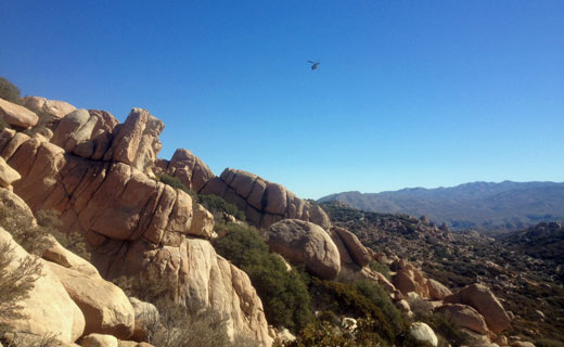 Boulders and Brush in the Search Area